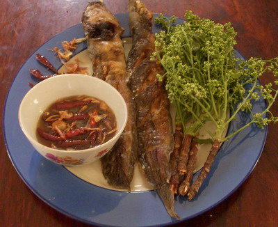 สูตรอาหาร – น้ำปลาหวาน  สะเดา  ปลาเผา