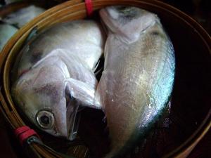 สูตรอาหารไทย – นึ่งปลาทูกะทิสด