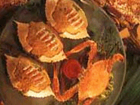 สูตรอาหารไทย – ปูเขียวหวาน